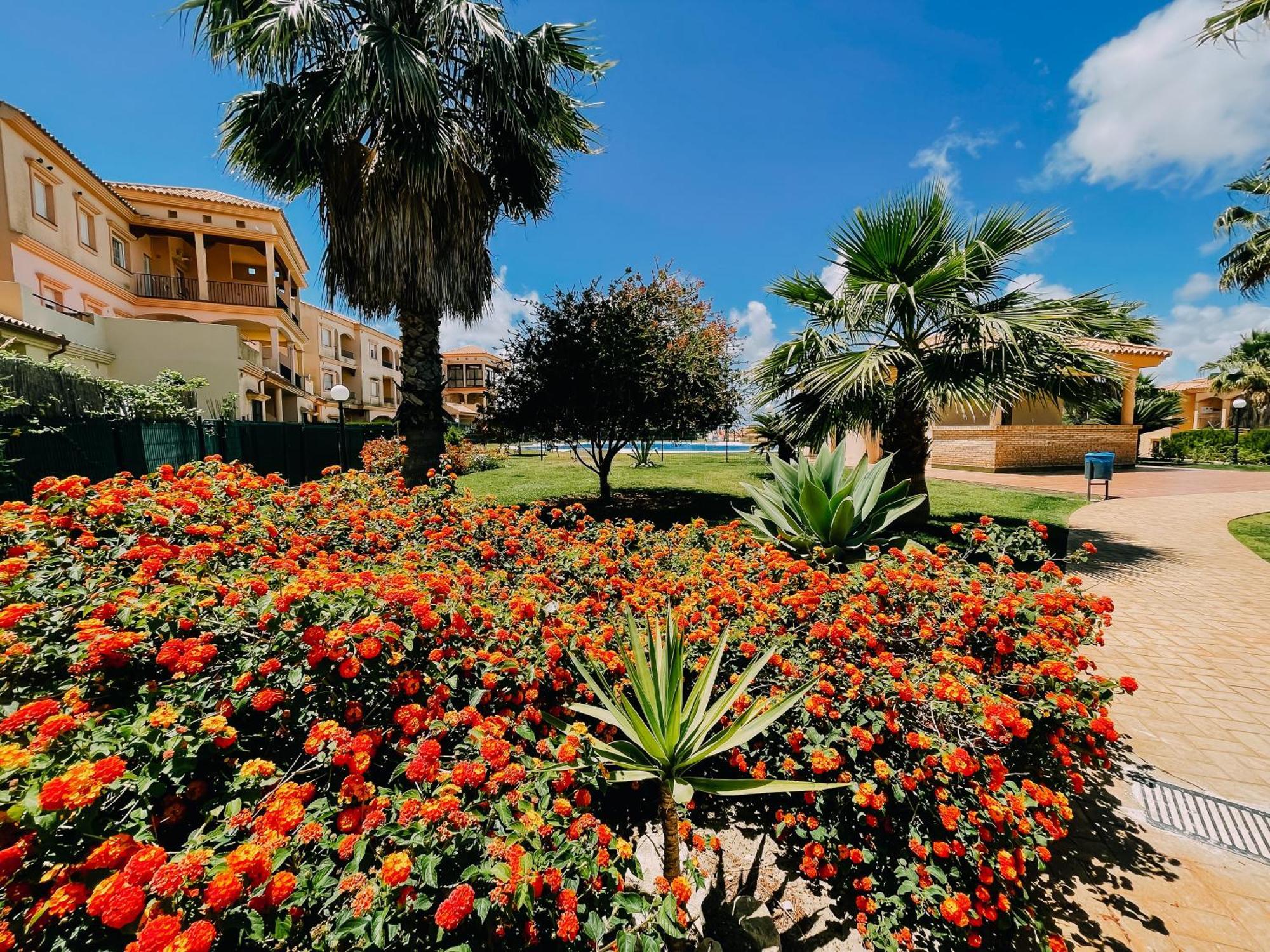 דירות Sanlúcar de Barrameda Mika'S House מראה חיצוני תמונה